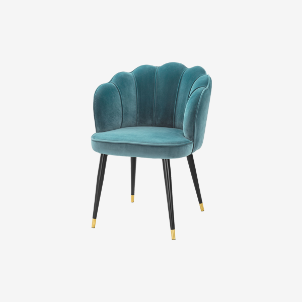 Bristal Brand Velvet Home Chair