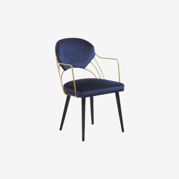 Bristal Brand Velvet Home Chair